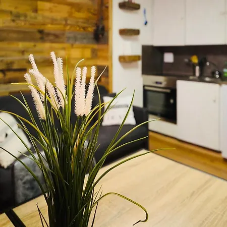 Petit A Au Pied Des Pistes גרימנץ